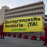 Greenpeace bloquea la entrada a la fábrica ElPozo en protesta contra las macrogranjas
