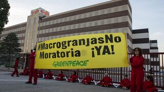 Greenpeace bloquea la entrada a la fábrica ElPozo en protesta contra las macrogranjas