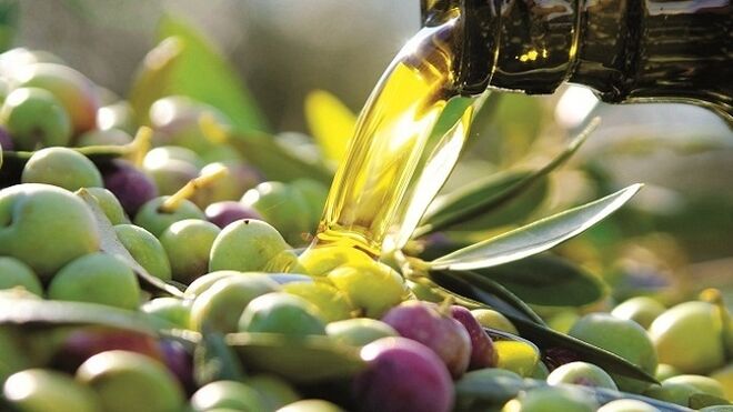 España recupera el liderazgo en el mercado de aceites de oliva de EE.UU.