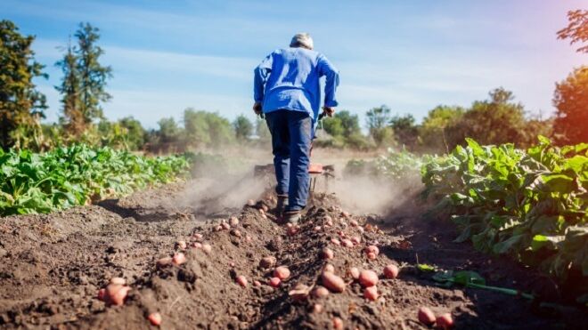 Cooperativas Agro-alimentarias de España se adhiere al Pacto Europeo Rural