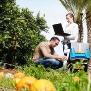 Desarrollan un robot móvil para recolectar y dar nuevo uso a la fruta caída