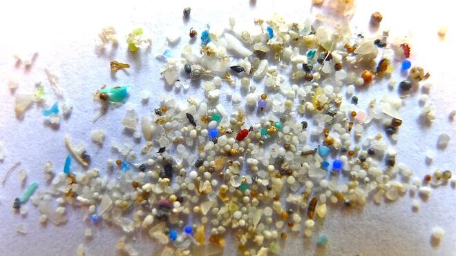 Un adulto consume unos 8.100 microplásticos al año a través de los moluscos