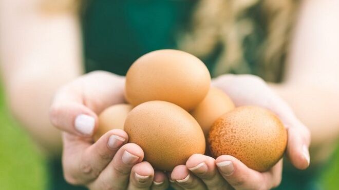 El sector del huevo español gana presencia: facturó 1.035 millones en 2021