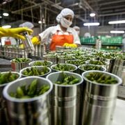 La industria alimentaria elevó su facturación el 25,3% en junio