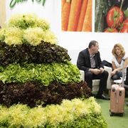 Fruit Attraction 2022 confirma la participación de más de 1.700 expositores a un mes de su arranque