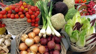 Los precios de la industria alimentaria subieron un 20,1% anual en septiembre