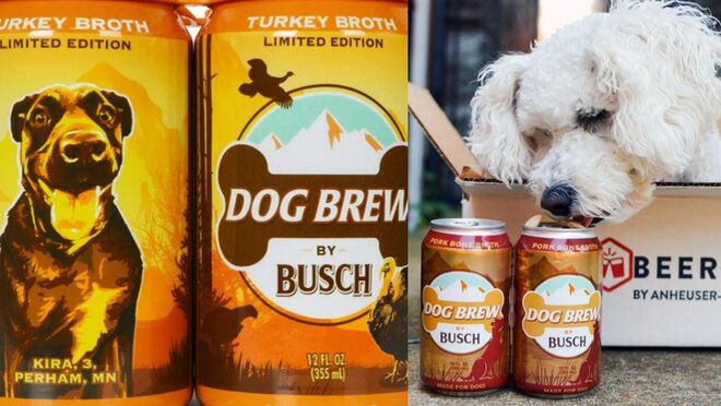 Lanzan una nueva cerveza para perros con caldo de pavo
