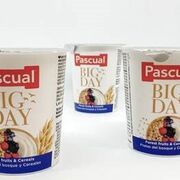 Pascual crece en el negocio lácteo con los yogures Big Day