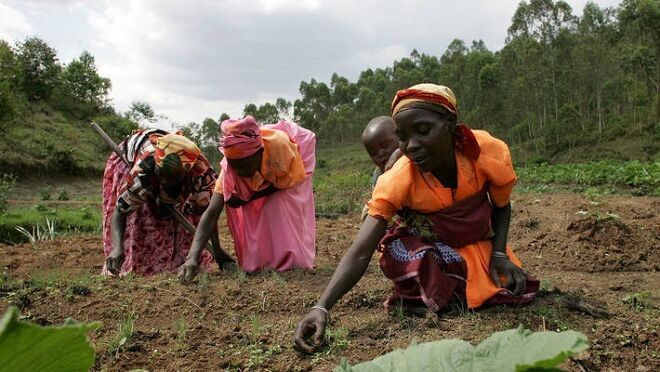 El encarecimiento de los alimentos agrava los problemas de África