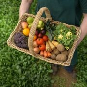 8 tendencias que marcarán la alimentación sostenible en 2023