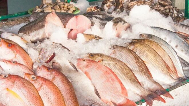 Pesca España reivindica una fiscalidad saludable ante el descenso del consumo de pescado