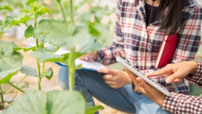 La innovación abierta se abre paso en la transformación del sector agroalimentario