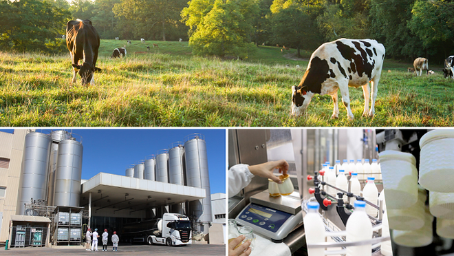 Lactalis España recoge el 5% más de leche en 2023 y prevé mil millones de litros en 2024