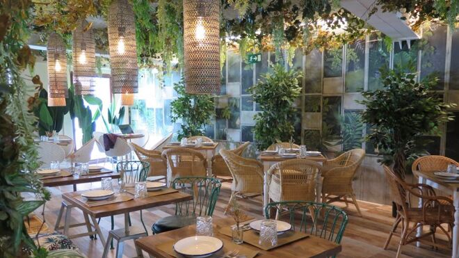 FACUA pide sancionar a los restaurantes decorados con plantas inflamables