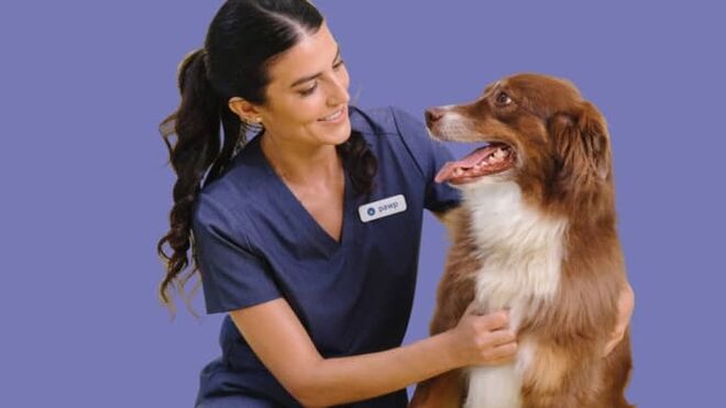 Walmart ofrecerá teleasistencia veterinaria a sus clientes