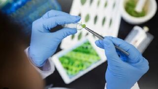 L'Oreal invierte en biotecnología