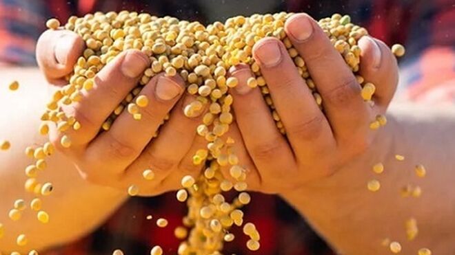 Bunge compra Viterra por 7.623 millones para crear un gigante agroalimentario
