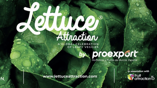 Lettuce Attraction, el evento global de las lechugas y ensaladas
