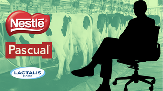 Pascual, Puleva (Lactalis) y Nestlé, multadas por formar parte del cártel de empresas lácteas