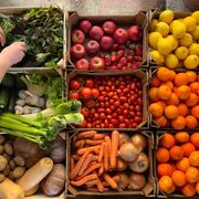 España pide a la UE 350,7 millones del régimen de ayudas de frutas y hortalizas para 2024