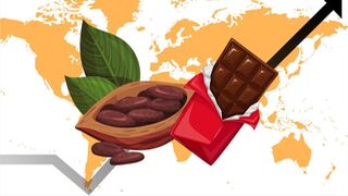 La tormenta perfecta del cacao amenaza con ‘amargar’ el consumo de chocolate