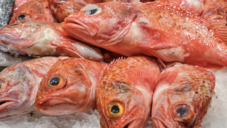 El consumo de pescado cae 1,5 kilos por persona en el último año