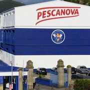 Vieja Pescanova pierde 686.000 euros en su último ejercicio