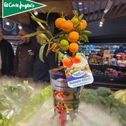 The Perfect Store - Activando al Shopper: Venta de árboles de mandarinas El Corte Inglés.