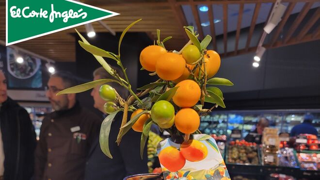 The Perfect Store - Activando al Shopper: Venta de árboles de mandarinas El Corte Inglés.